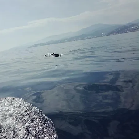 Tatil Evi Barbara's House - Liguria