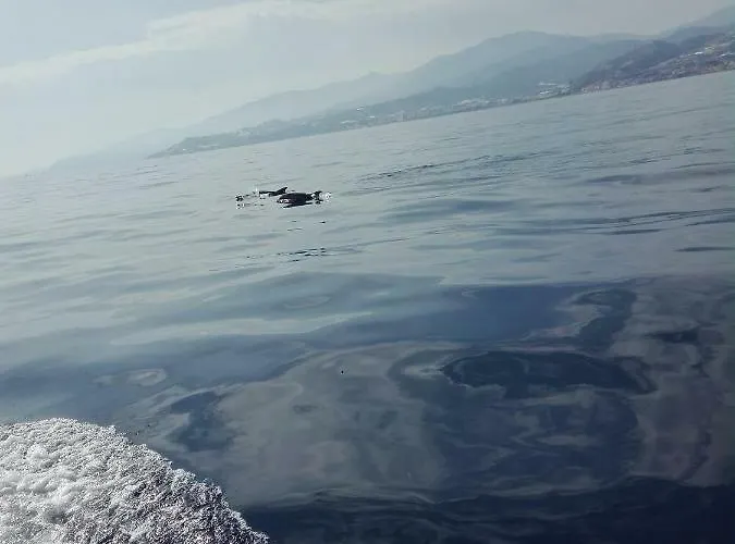 Vakantiehuis Barbara's House - Liguria